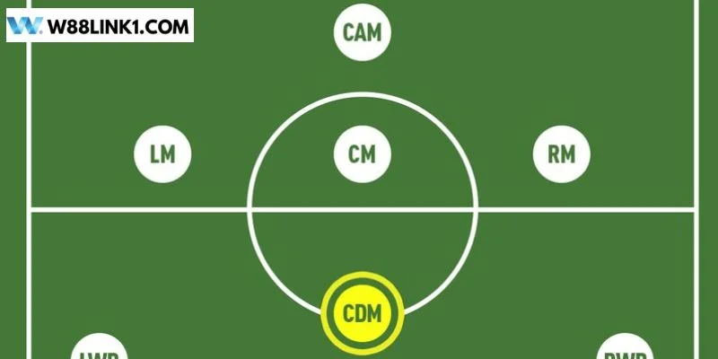 Các vị trí RM và LM có nhiệm vụ khác nhau.