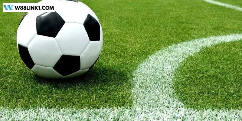 Kèo châu Âu rất phù hợp với những người mới tham gia vào cá độ bóng.